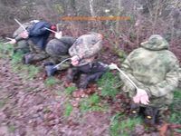 Abenteuer Überleben, Krisenvorsorge, Bushcraft Rhön, Bushcraft und Survivaltraining in Bayern, Survival Hessen, Survivaltraining Thüringen, Wolfszeit Naturkraft, Wolfszeit, Krisenprävention, Wald(hand)werk, Team Survival Training Bushcraft, Survival Magazin, Kommando, Bundeswehr, Einzelkämpfer, KSK, Blackout, Black Out, Stromausfall,